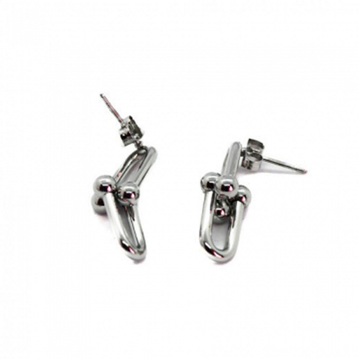 Silver Links Earrings